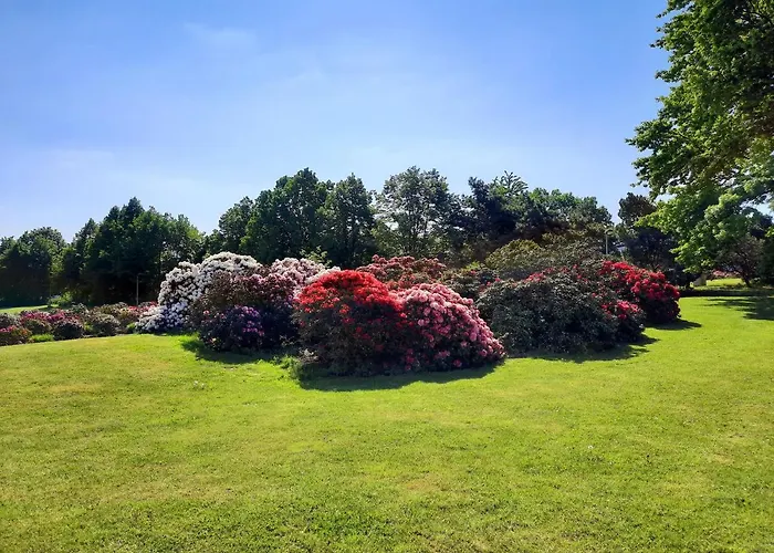 Floret Hotell Prŭhonice